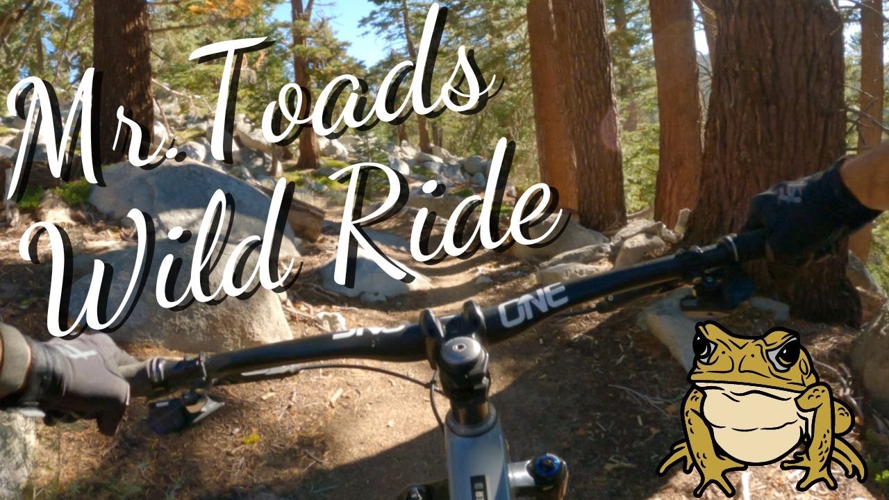 Горный велосипед Mr.Toads Wild Ride в Саут-Лейк-Тахо, Калифорния.