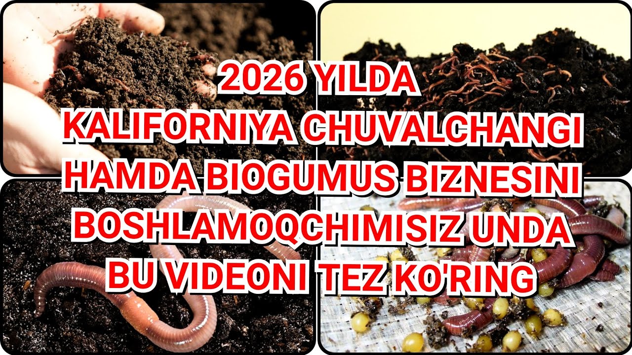2026 YILDA BIOGUMUS BIZNESNI BOSHLAMOQCHIMISIZ UNDA BU VIDEONI TEZ KO'RING