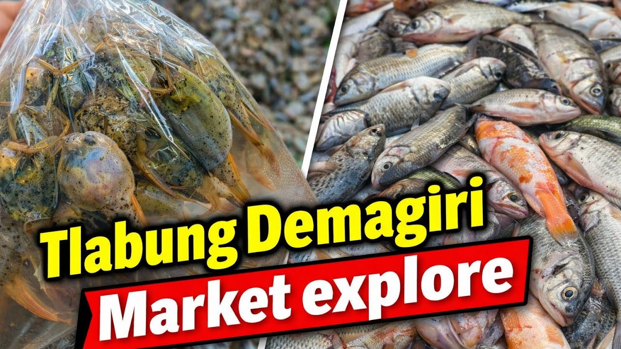 Tlabung Demagiri Market Explore  | India Bangladesh Border Market 