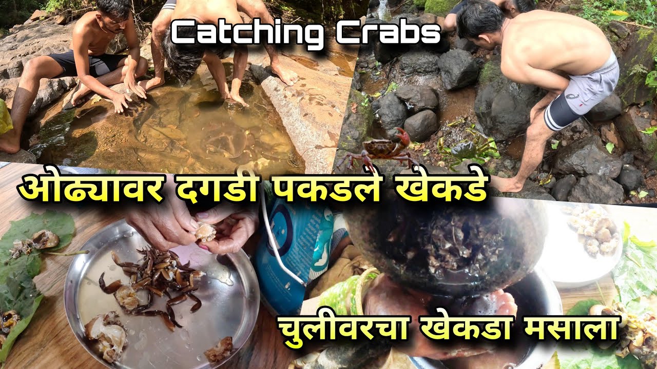 ओढ्यात दगड्या पालटून पकडले खेकडे, आईने केला खेकडा रस्सा मसाला | Catching Hunting Crabs Konkan River