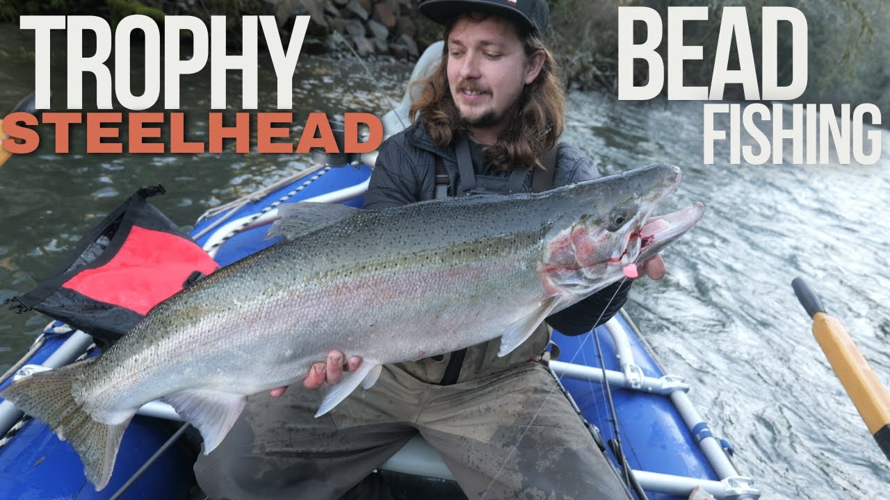 TROPHY Winter Steelhead |BOBBER DOWNS Bead Fishing Success|