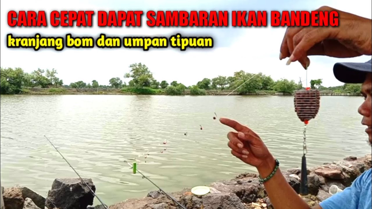Cara Mancing Bandeng || Mancing  Tambak Bandeng_Mancing bandeng Liaran#andrestbs
