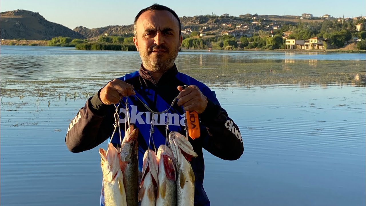 TEK BAŞIMA 100 TURNA YAKALADIM(5 Adet alındı gerisi salındı )