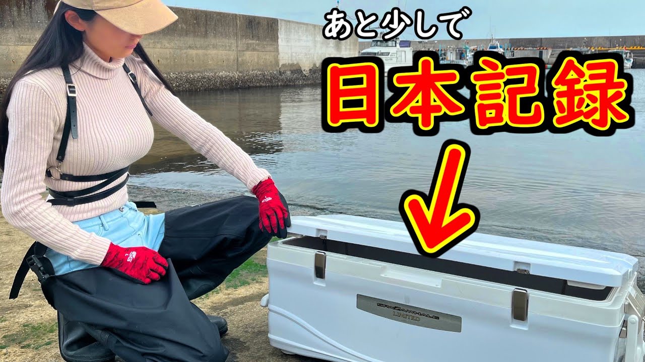 この凄いサイズは普通見れない‼️日本記録に迫る特大高級魚を釣りました‼️