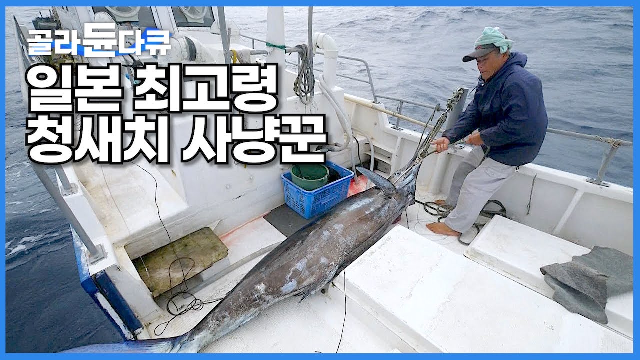 '70대 노인이 청새치의 신이라 불리는 이유' 전설적인 일본 최고령 어부가 거대한 괴물 물고기를 잡는 과정┃일본 오키나와 청새치 잡이┃인간과 바다┃#골라듄다큐