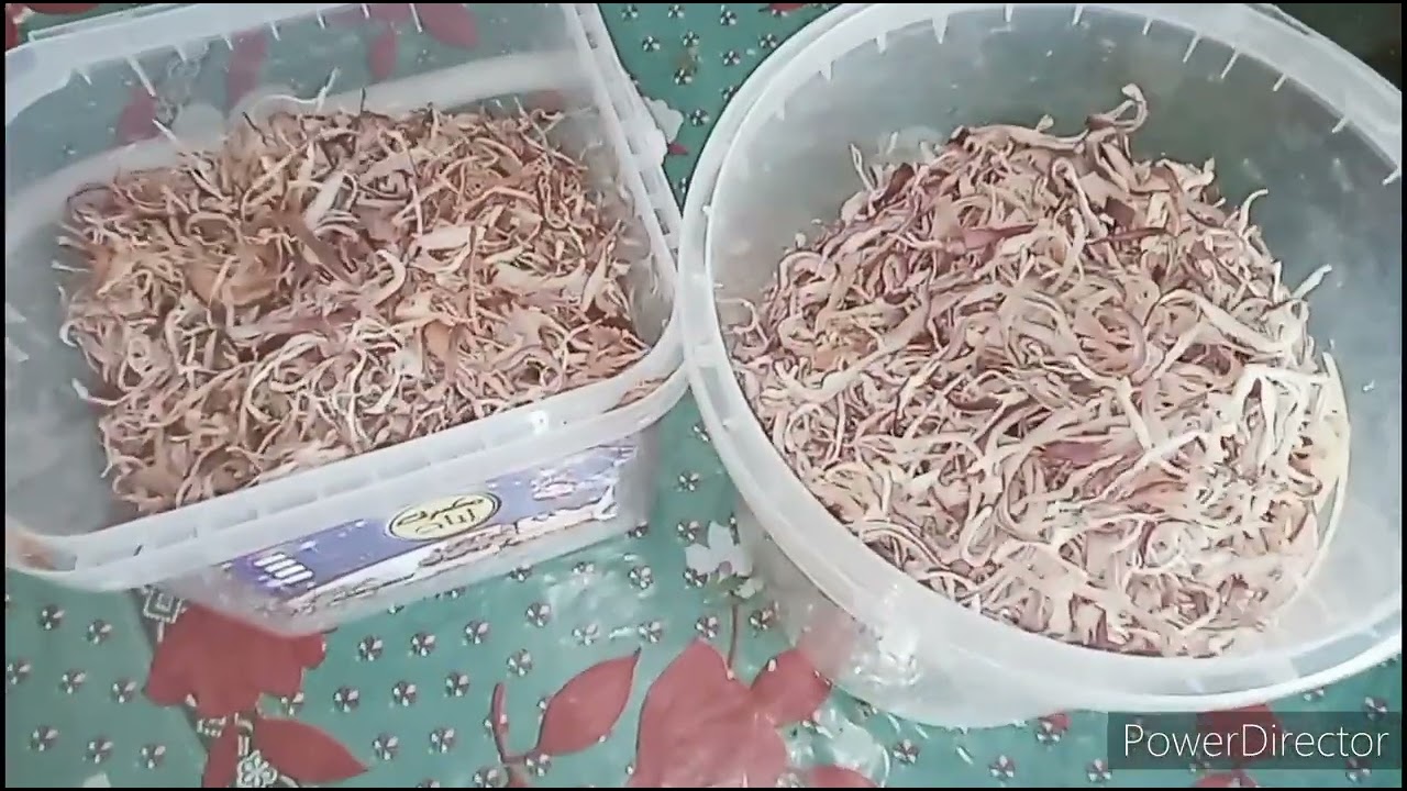 حملة عامة لتحضيرات عولة الشتاء👍👍🌱🌿مرحبا بيكم معي للتحضير😂😂😂😂🎊🎉