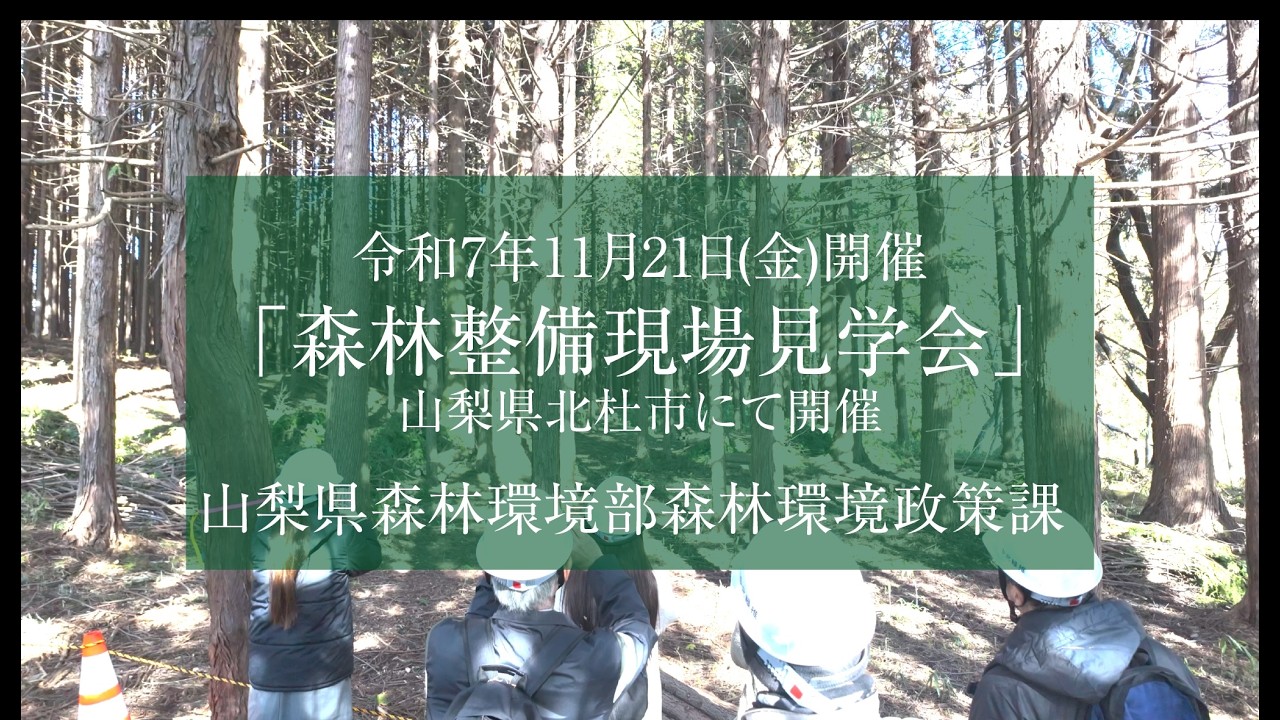 森林整備現場見学会　2025年11月21日開催