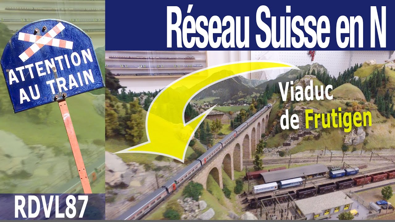 Le réseau en N de Michael Schiepan