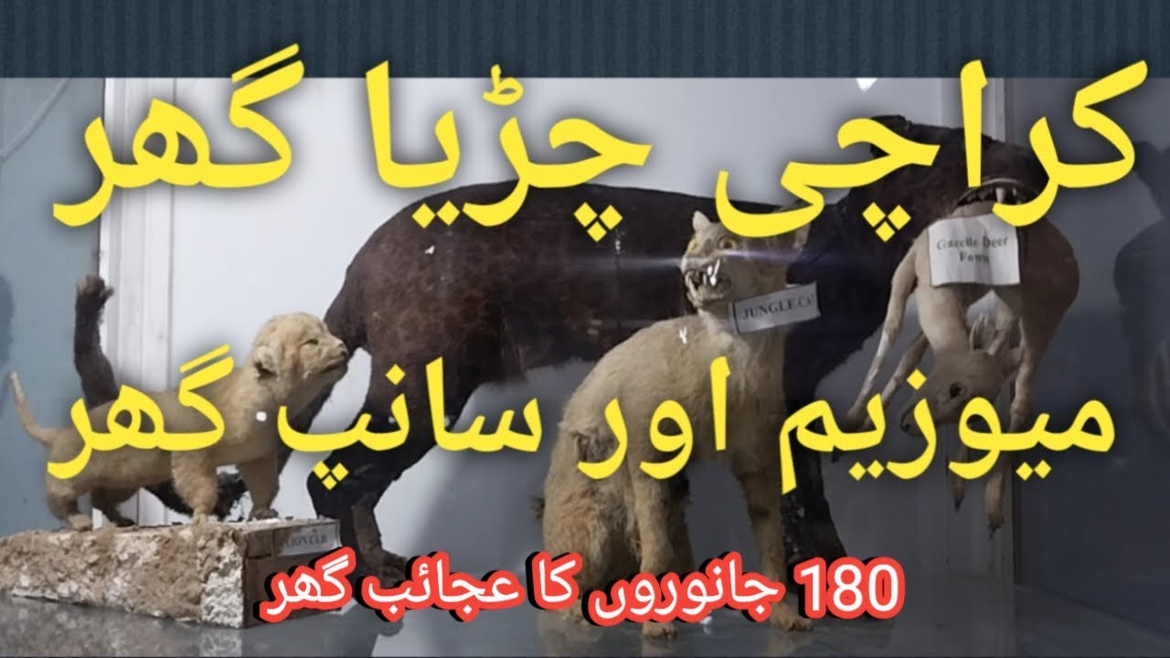 Karachi Zoo Museum | Janwaron Ka Ajaib Ghar | Aquarium | Gandhi Garden