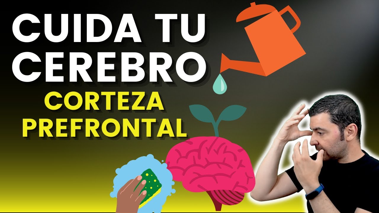 CUIDA TU CEREBRO (PARTE 2): CORTEZA PREFRONTAL │ C&oacute;mo superar problemas de d&eacute;ficit de atenci&oacute;n (TDA)