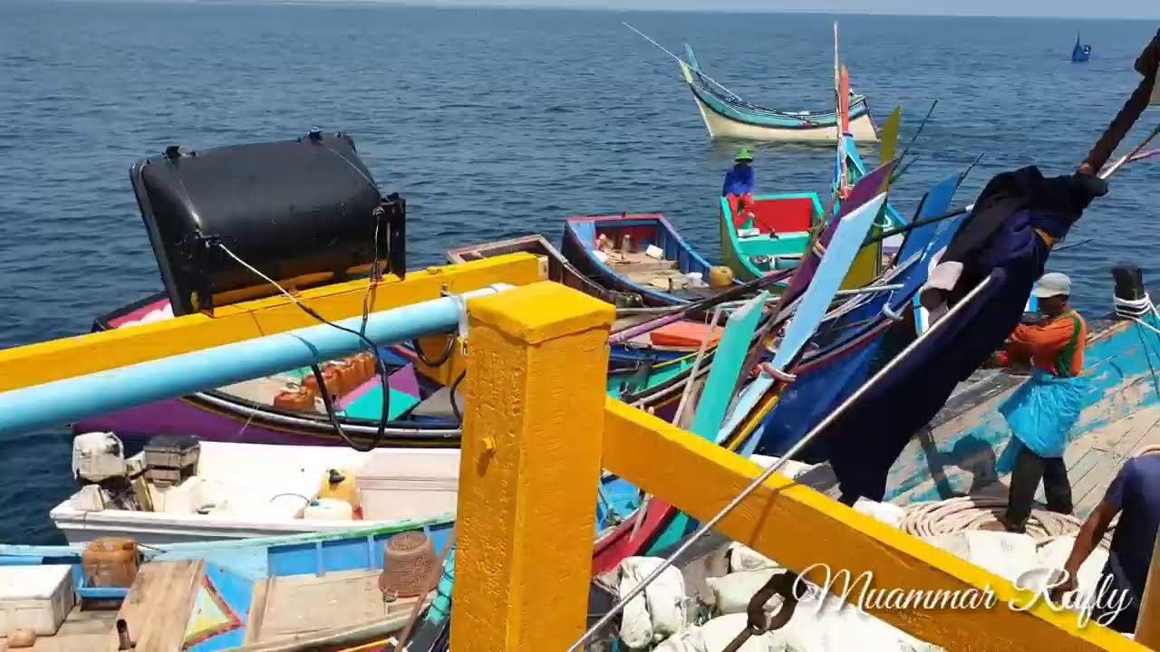 Pukat cincin Nelayan Indonesia Dapat Banyak Ikan Cakalang, luar biasa hasil tangkapan Nelayan Indon