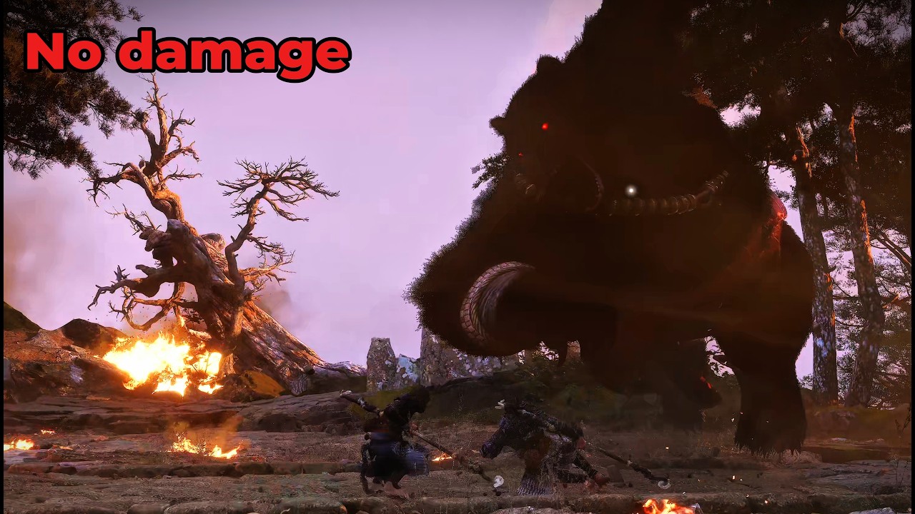 Black Myth: Wukong - Black Bear Guai No damage