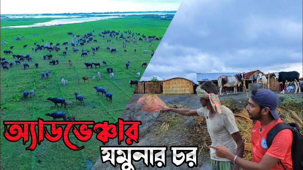 চরের বুকে চরম অ্যাডভেঞ্চার ।। যমুনার নদীর মাঝ খানে ভিন্ন এক জগত ।। Jamuna River Sirajganj