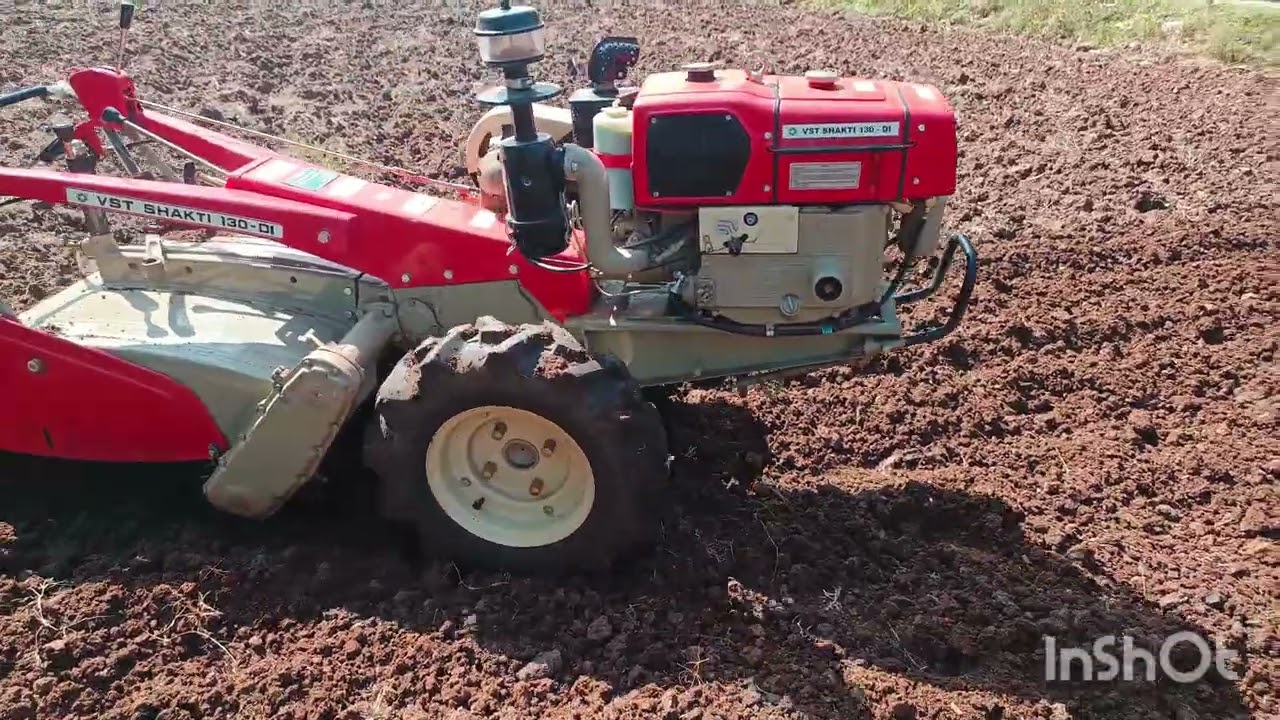 Agriculture video #💪 ನಮ್ಮ ಅಡಿಕೆ ತೋಟದ ವಿಡಿಯೋ 