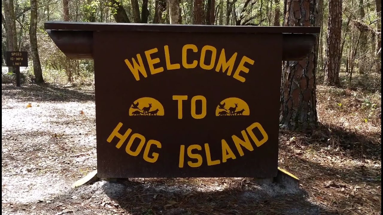 Withlacoochee State Forest Hog Island - Quick Tour