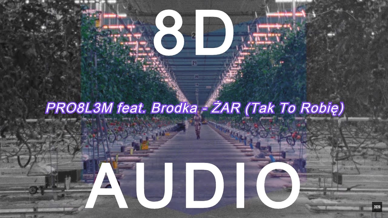 8D PRO8L3M feat. Brodka - ŻAR (Tak To Robię)