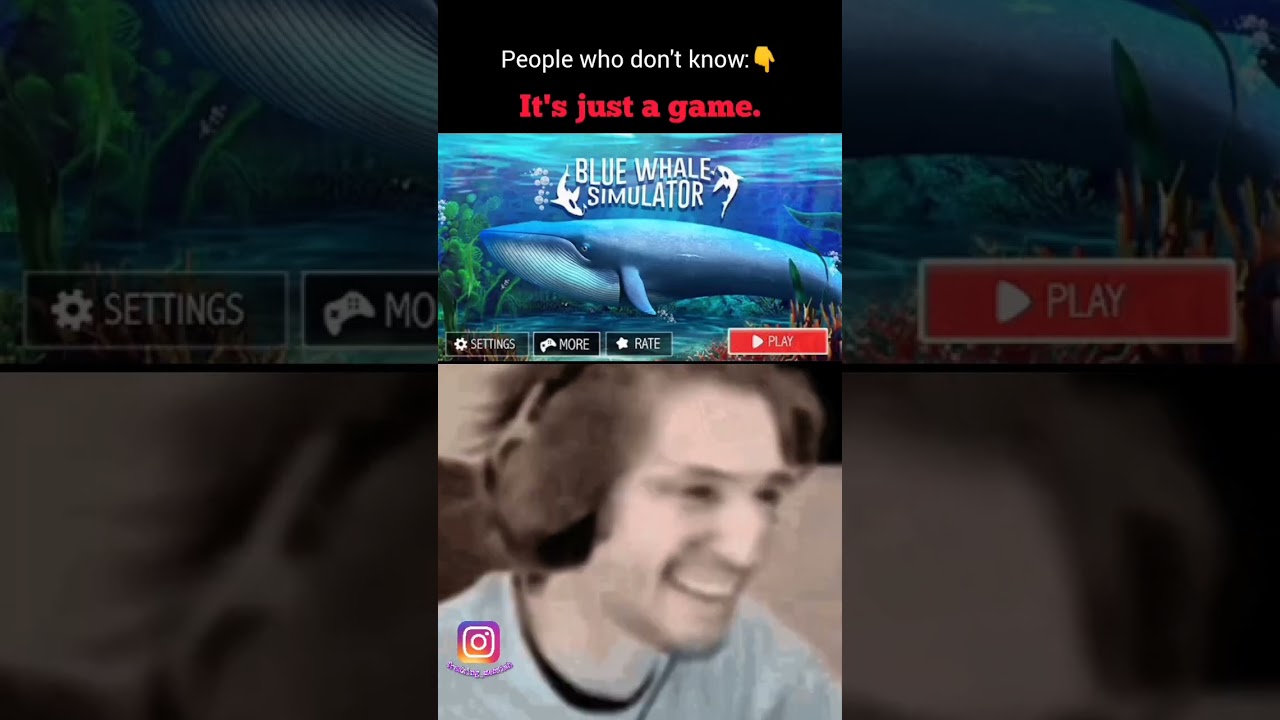 Blue Whale Simulator It's just a game 