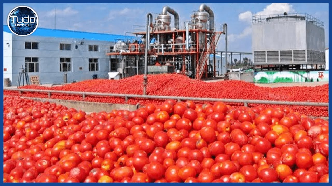 Como o Molho de Tomate é Feito nas Fábricas – Como Preparar Molho de Tomate engarrafado