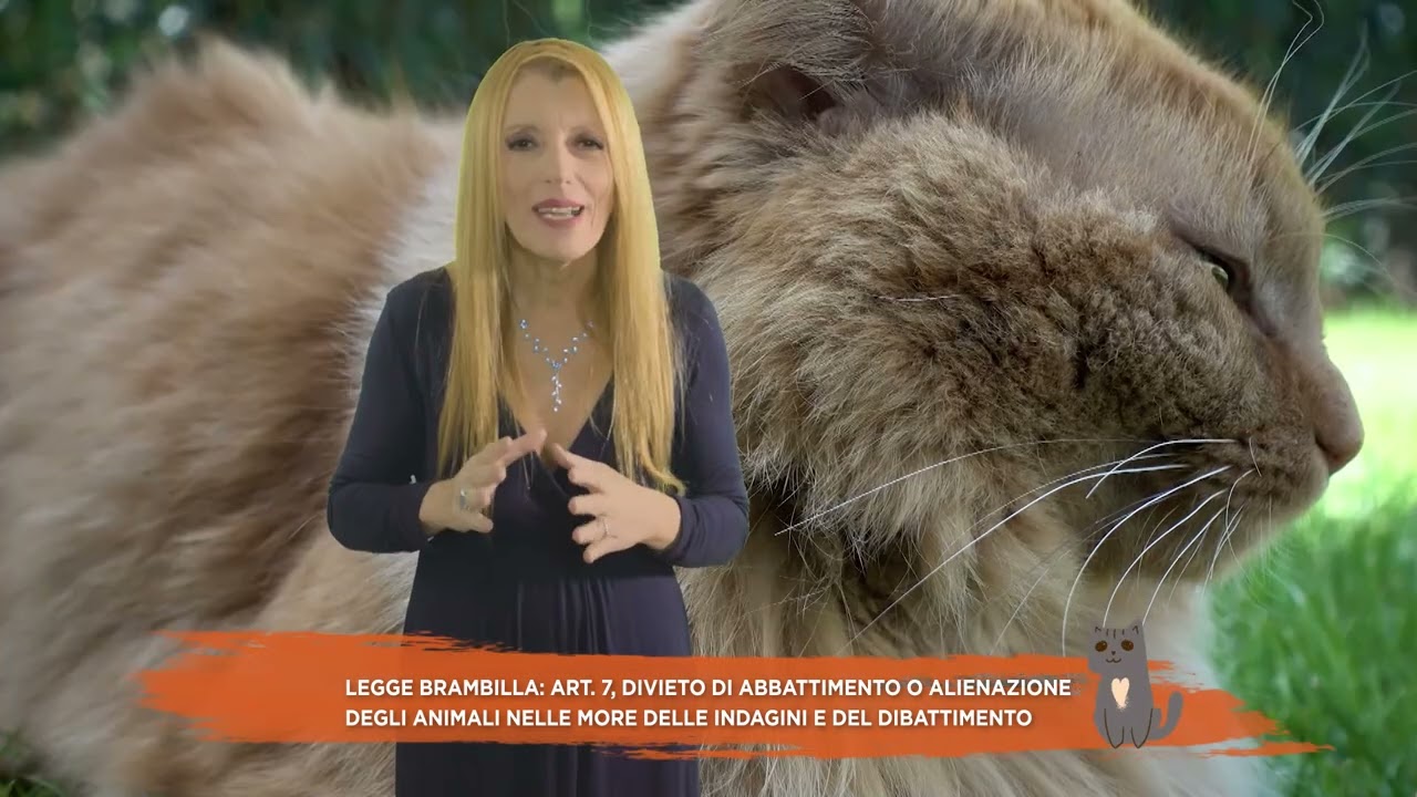 FINALMENTE GIUSTIZIA: LA LEGGE BRAMBILLA VIETA L'ABBATTIMENTO E L'ALIENAZIONE DEGLI ANIMALI