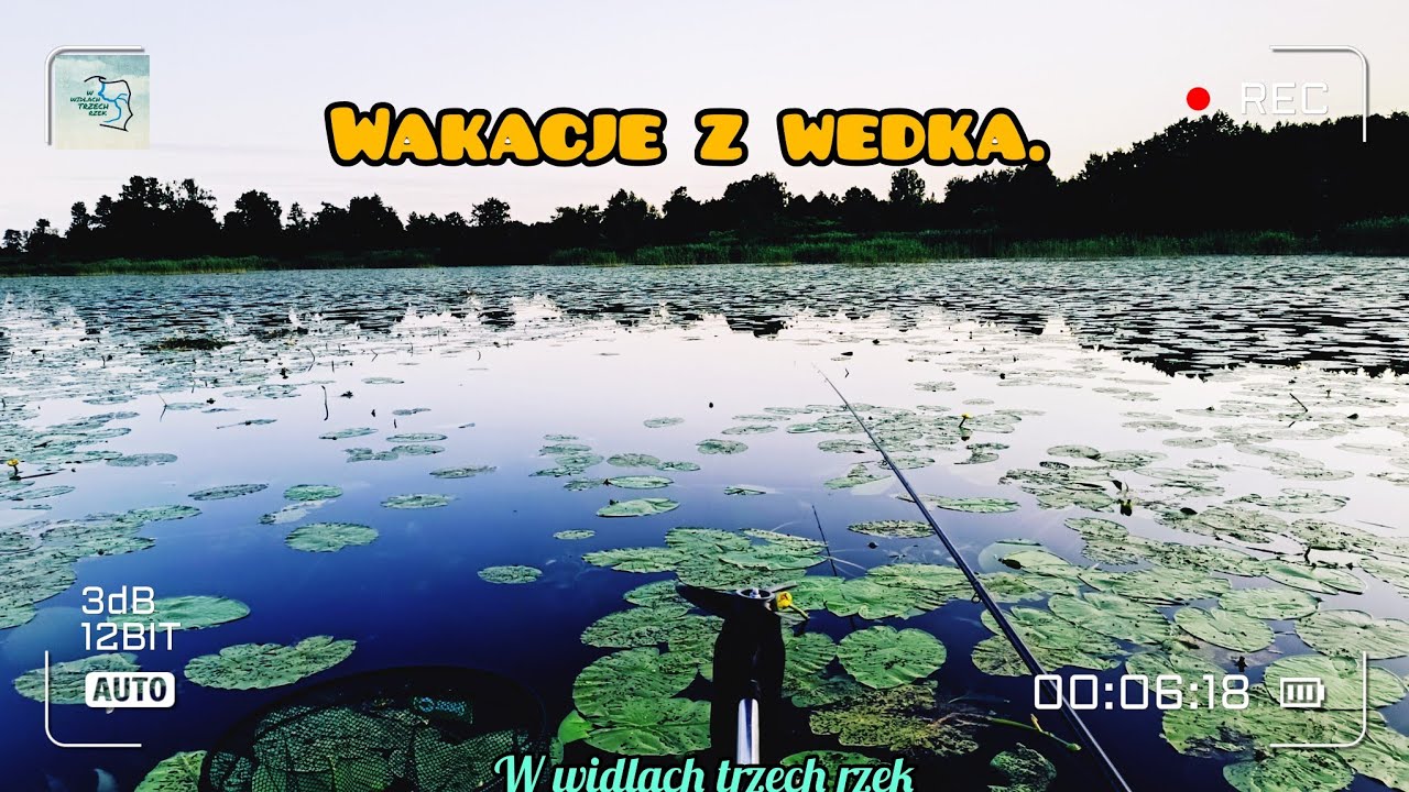 Wakacje z wędką na Mazurach!!! Spinnig/Grunt/Spławik! 2023!!!