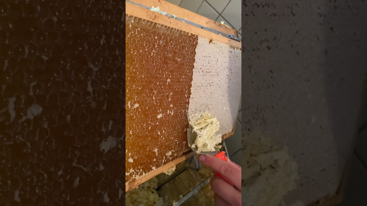 Harvesting Honey | Food Network