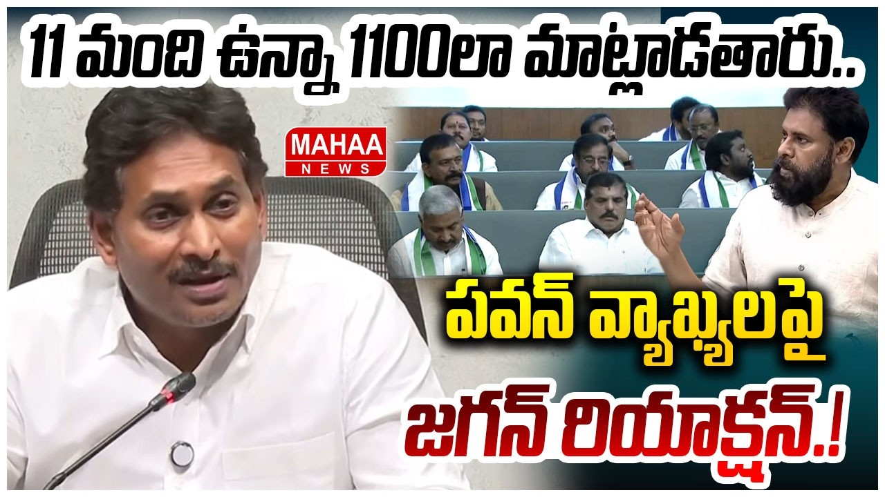 11 మంది ఉన్నా 1100లా మాట్లాడతారు..పవన్ వ్యాఖ్యలపై జగన్ రియాక్షన్ | YS Jagan | Mahaa News