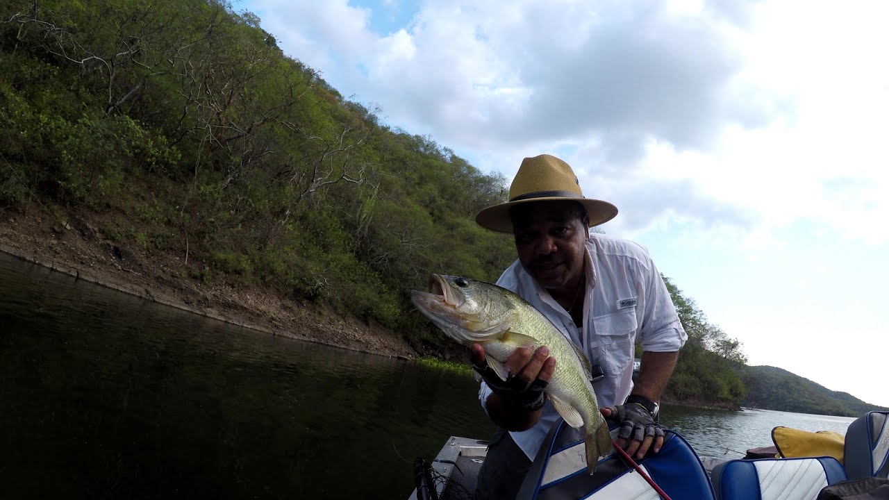 Como cambiar de un arreglo Florida a un waki en menos de 1 segundo, nuevo tips que funciona