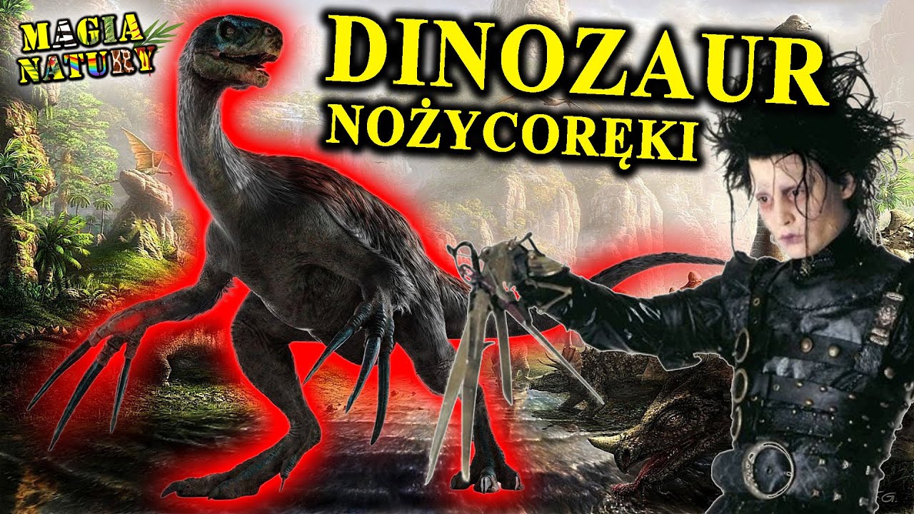 70-cio cm Pazury! - NOŻYCORĘKI Dinozaur oraz Inne Dziwadła Natury