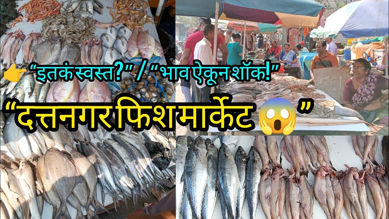 दत्त नगर फिश मार्केट!! इतक स्वस्त.. भाव ऐकून शॉक व्हाल..