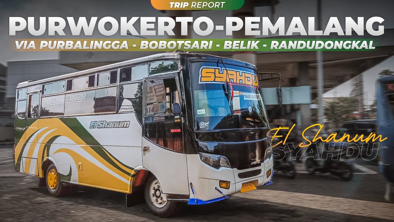 PENAKLUK JALUR INDAH BERBAHAYA! 🤩🔥 | Trip Report Bus El Shanum (Purwokerto - Pemalang)