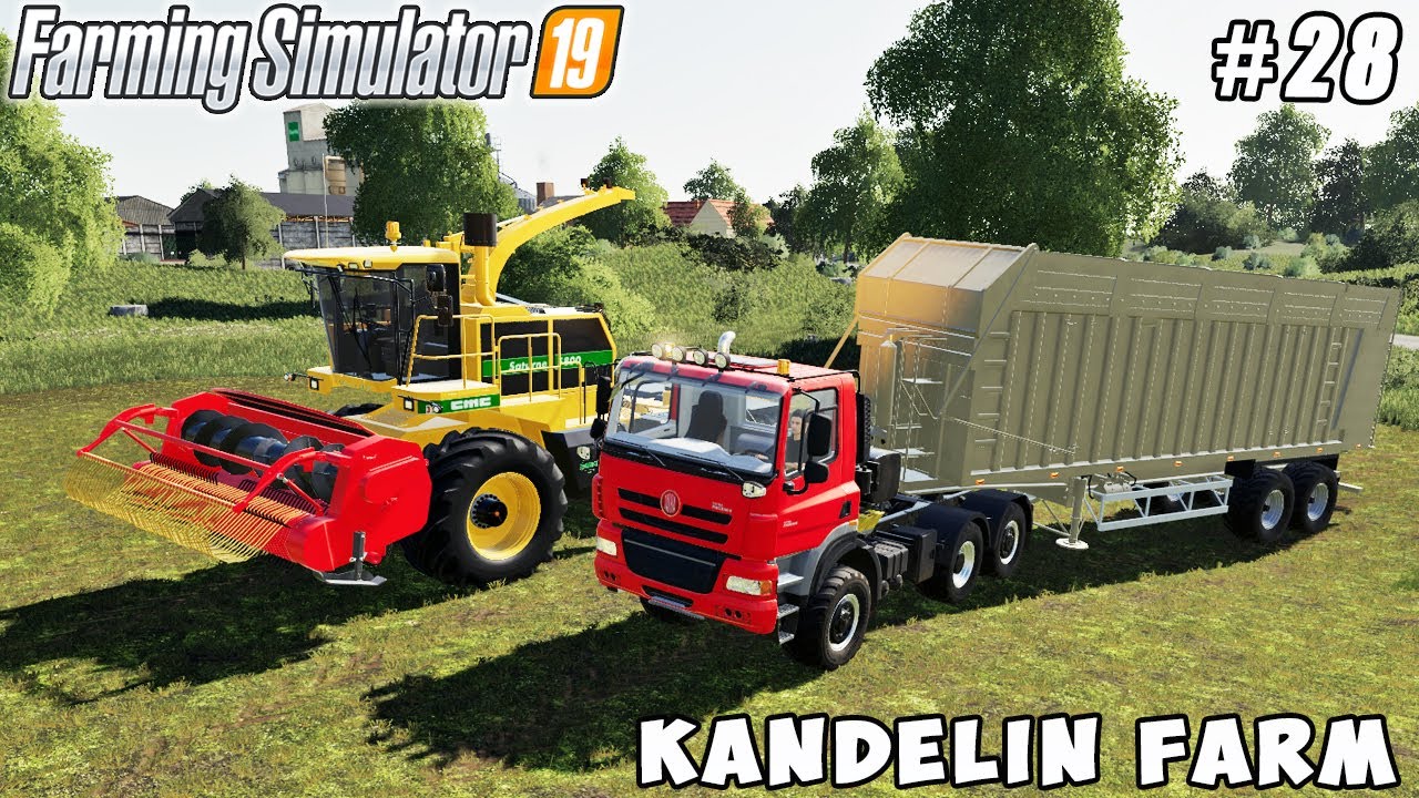 Picking grass, increasing cow productivity | Kandelin Farm | Farming simulator 19 | Timelapse #28