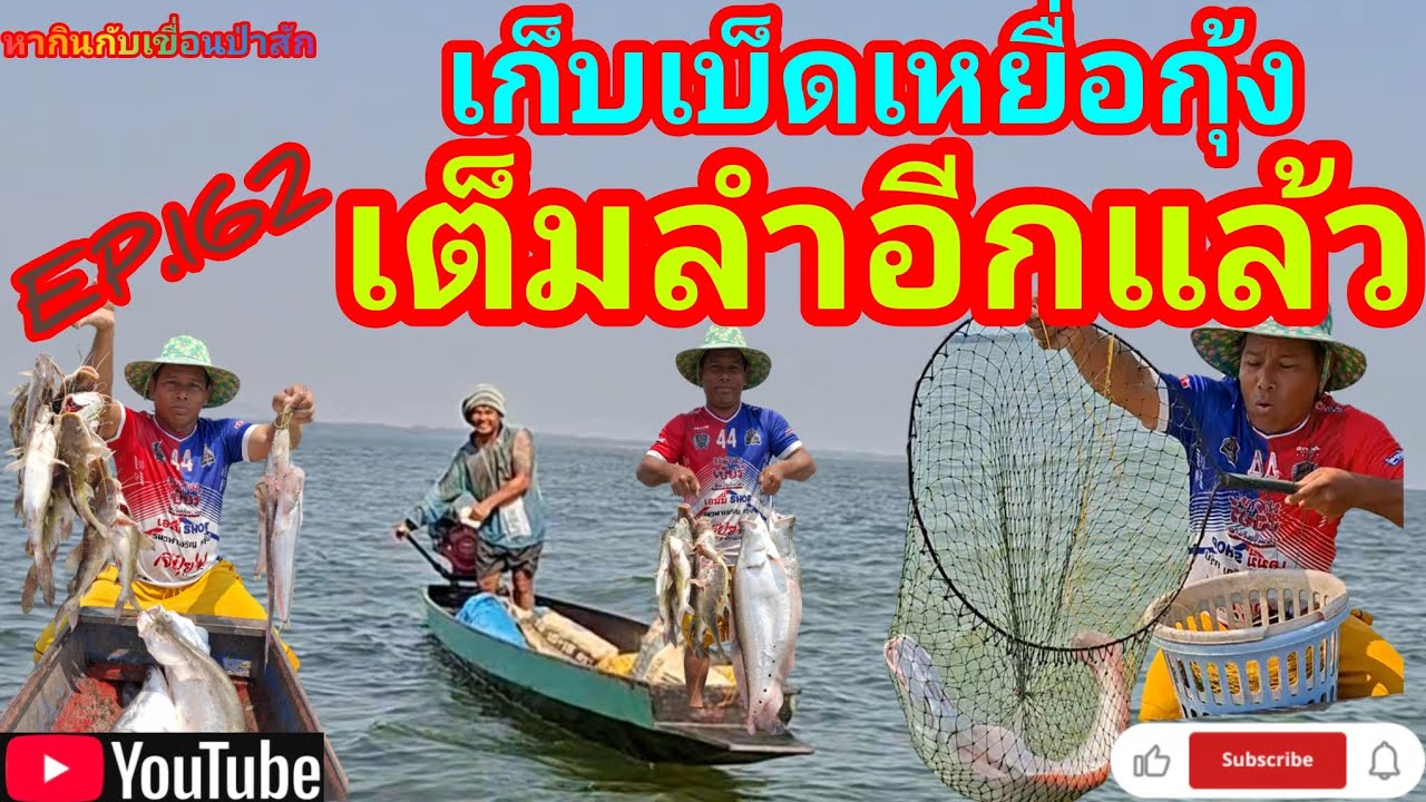 EP.162 เก็บเบ็ดเหยื่อกุ้งเต็มลำอีกแล้ว #fishing #เบ็ดราว #นั่งเรือตกปลา #หากินกับเขื่อนป่าสัก 