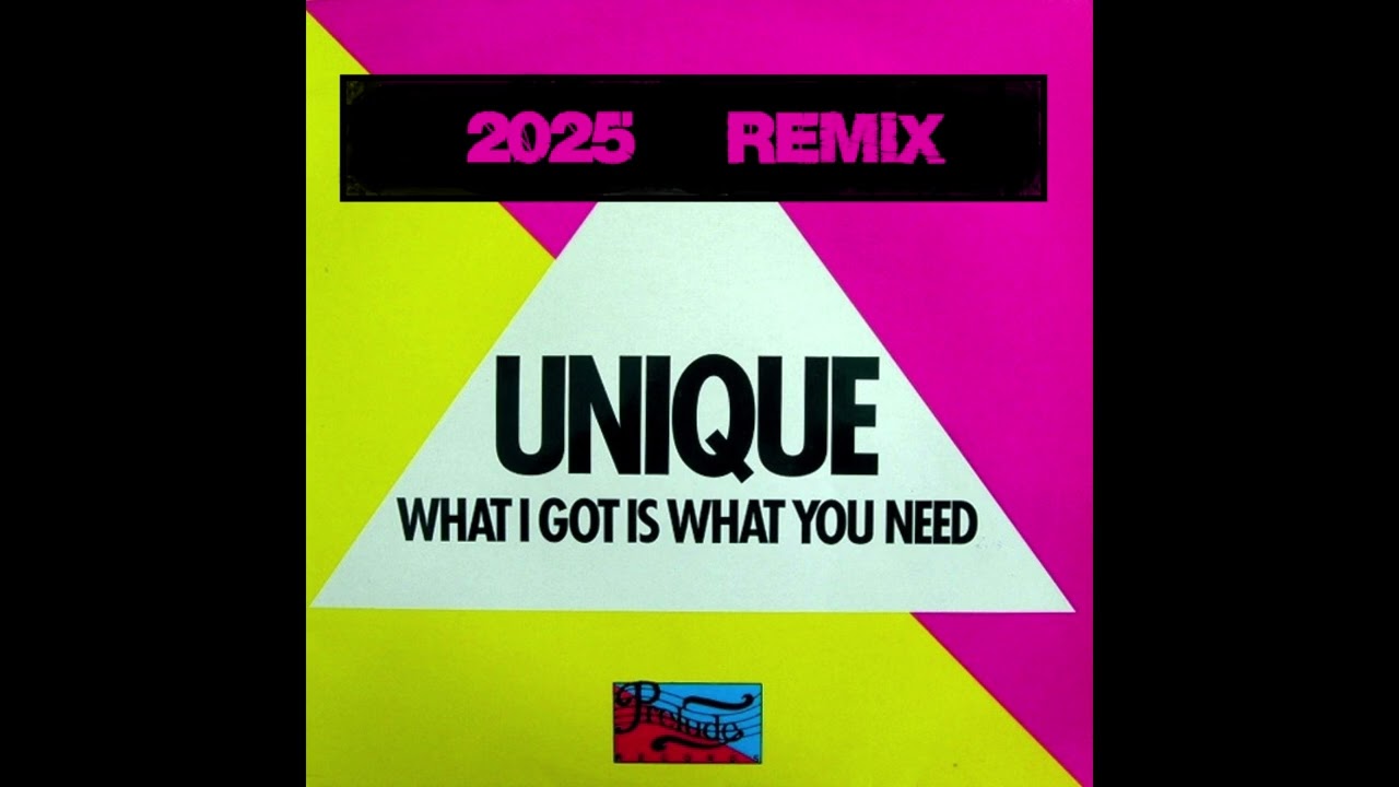 What i've got is what you Need  2025 Remix