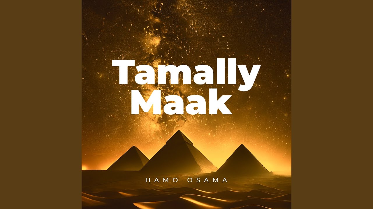 Tamally Maak (Aymoune Arabic Afro House Remix)