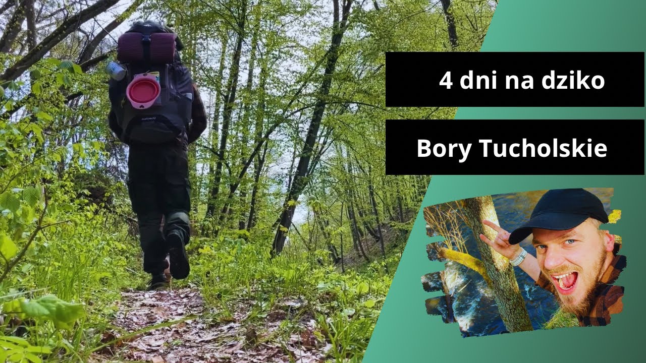 4 dni na dziko | Majówka w Borach Tucholskich | Bushcraft z piesem