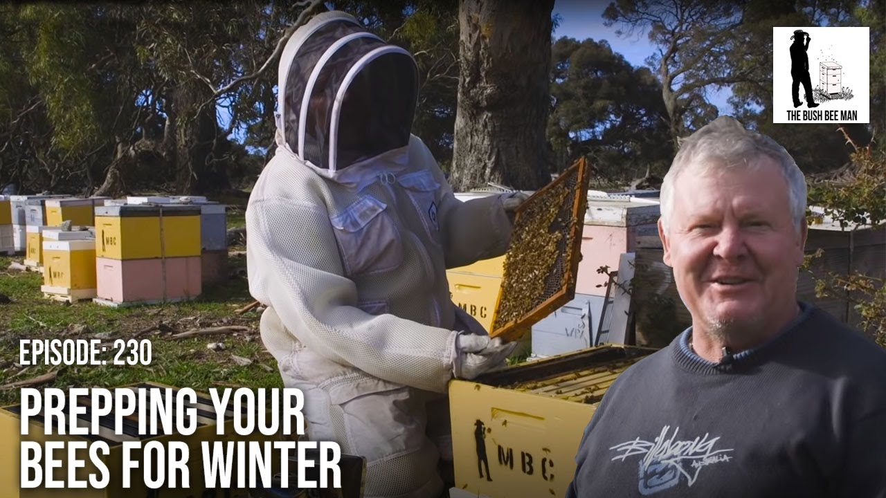 Preparing Your Bee Hives for Winter - The Bush Bee Man
