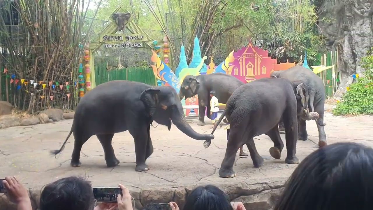 Bangkok Vlogs day 2:Safari World!