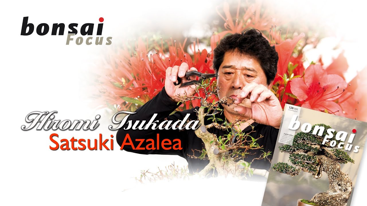 TSUKADA AZALEA BF3 14
