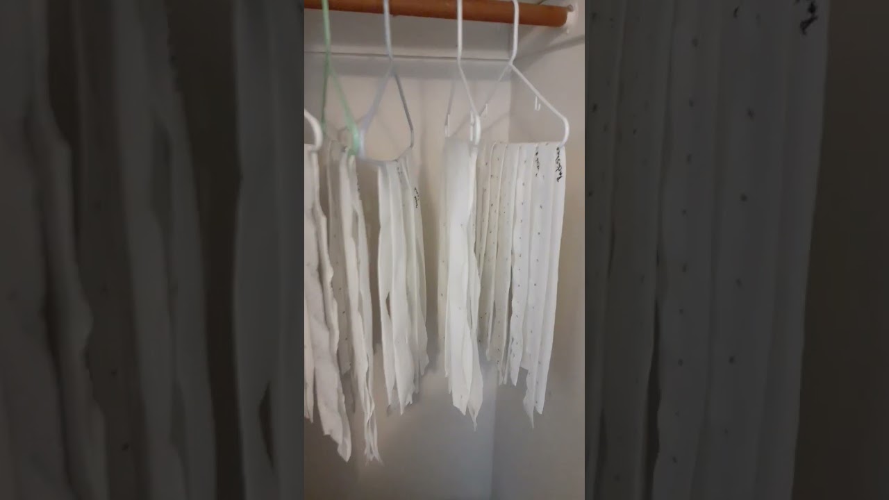 Homemade Seed Tape