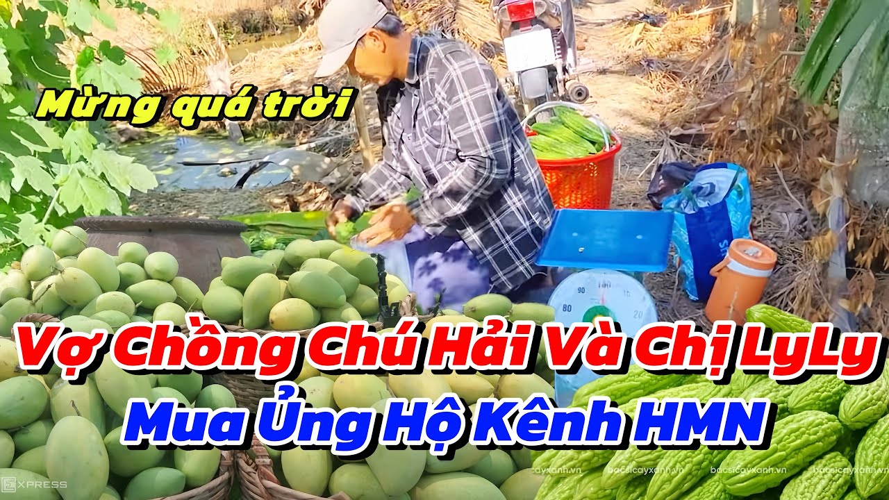 Được Vợ Chồng Chú Hải Mua Ủng Hộ Xoài Của Út Cường Và Chị LyLy Tiếp Tục Giải Cứu Khổ Qua Cho Anh Tư 
