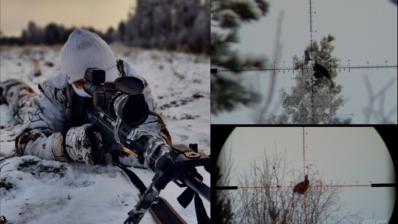 Finnish Sharpshooter Series: Hunt | Tac A1 6.5Creedmoor | RPR .17HMR | Triggercam footages