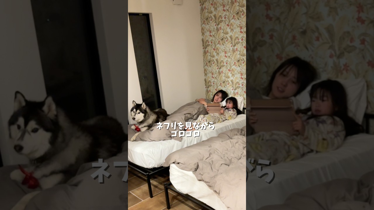 とても、楽しかったです！こんな家住みたいなぁ〜また行きたーい！