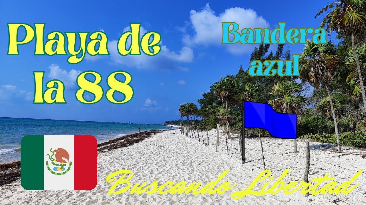 🌊🏖️ Playa con bandera azul , Playa de la 88 , Playa del Carmen.🌊