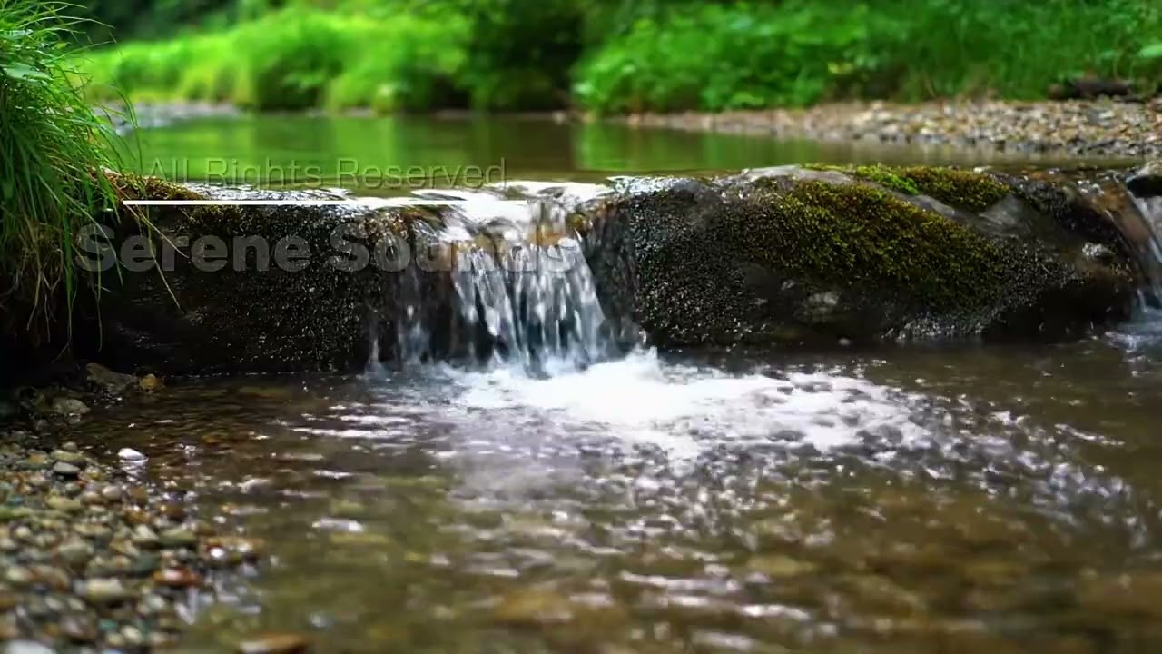 ASMR Crystal Clear Forest River | Gentle Morning Sunlight Glow | 8 Hour Relaxation (4K)