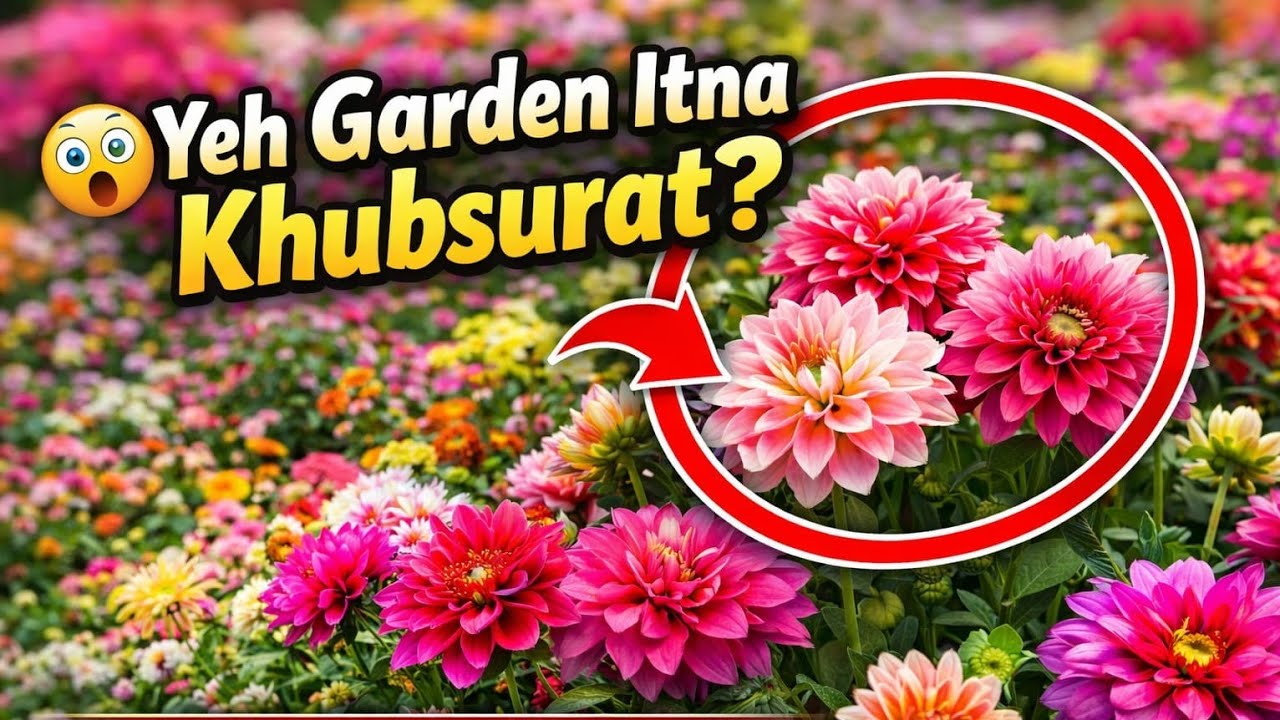 Khubsurat Phool Aur Sukoon: ||Khubsurat Ooty! | 🌲 Exploring Government Botanical Garden Ooty|