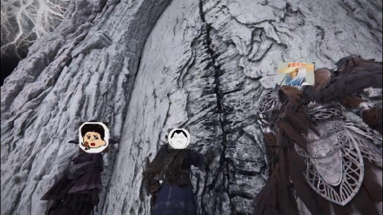 ３人でド鬼畜難易度ﾀﾋにゲー　　エルデンリングナイトレイン　プレイ動画