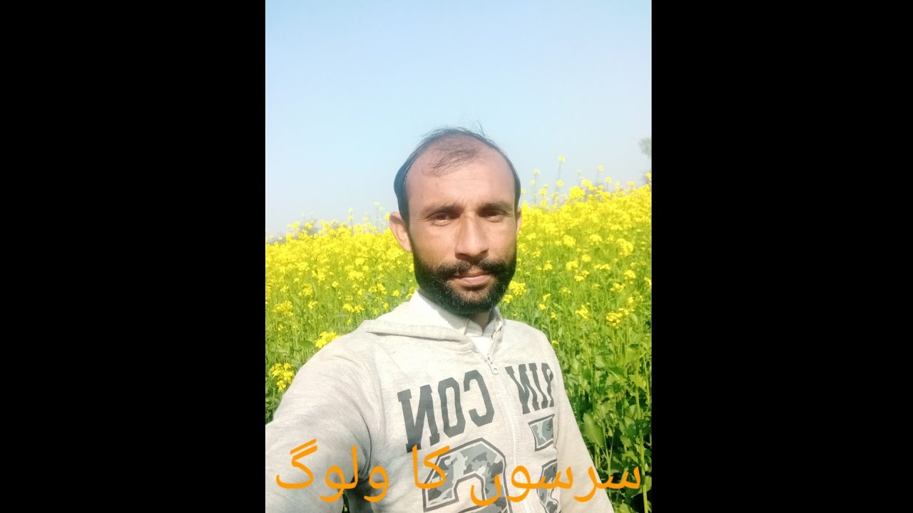 اج سرسوں کا ولوگ 