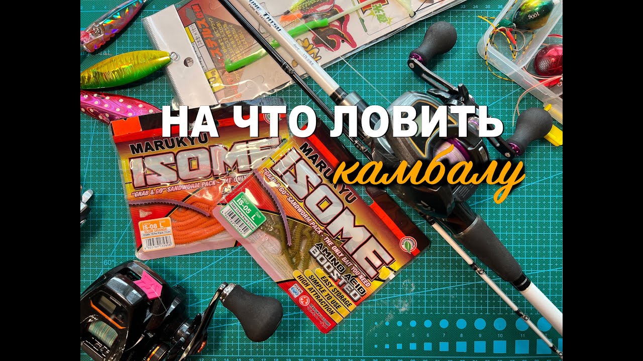 На что и чем ловить камбалу