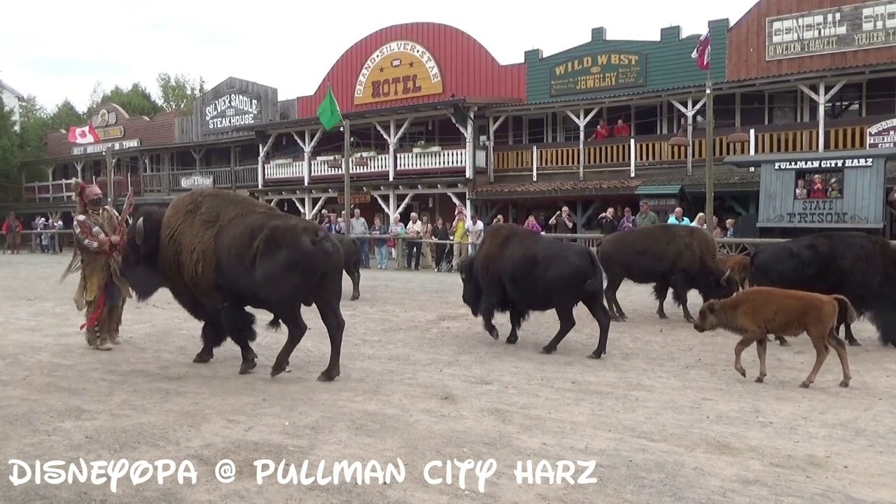 Pullman City Harz Shows Buffalo Bills Wild West Show DisneyOpa