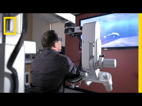 Could a Video Game Be the Key to Stroke Recovery? | National Geographic